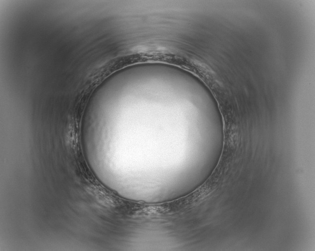 X0000073480966200608140812