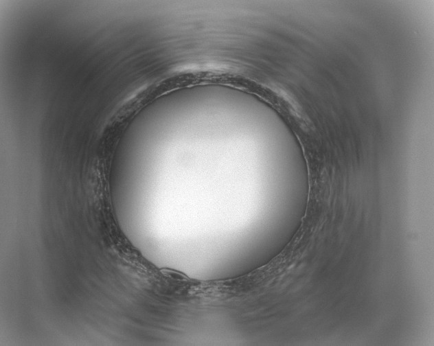 X0000073480967200608140812