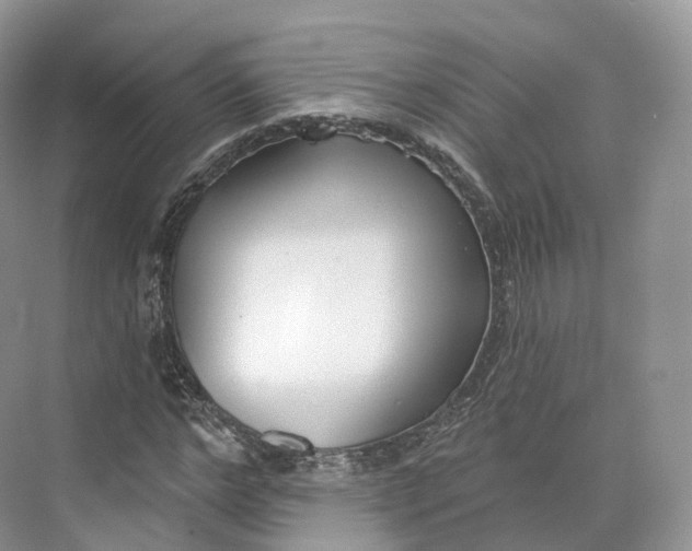 X0000073480968200608140812