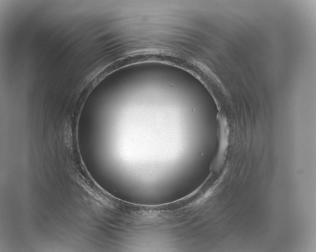 X0000073480969200608140812