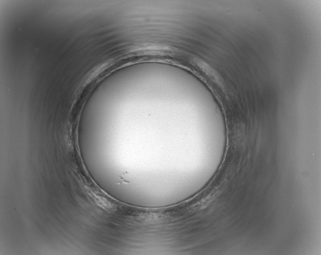 X0000073480970200608140812