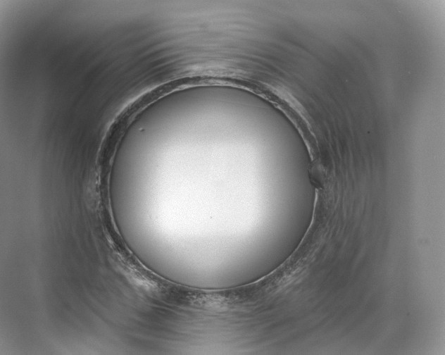 X0000073480971200608140812