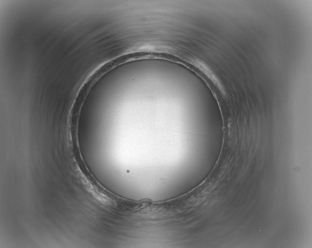 X0000073480972200608140812