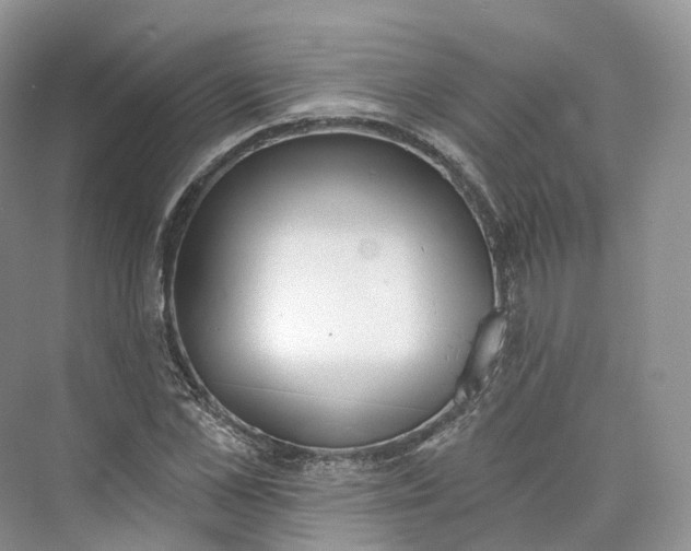 X0000073480973200608140812