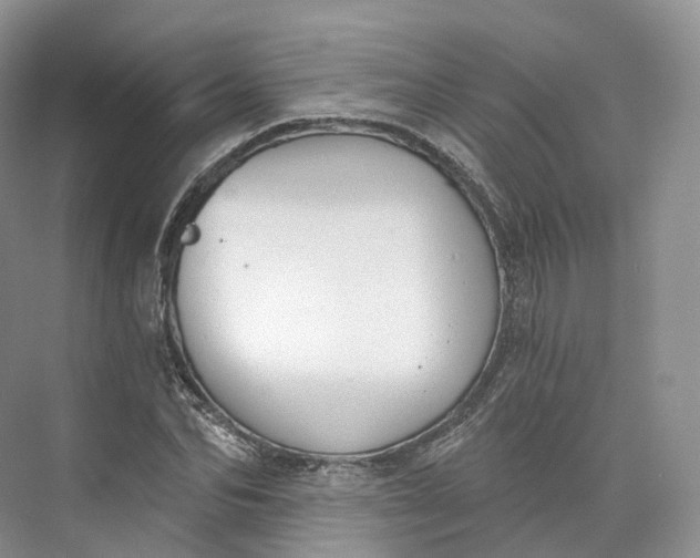 X0000073480974200608140812