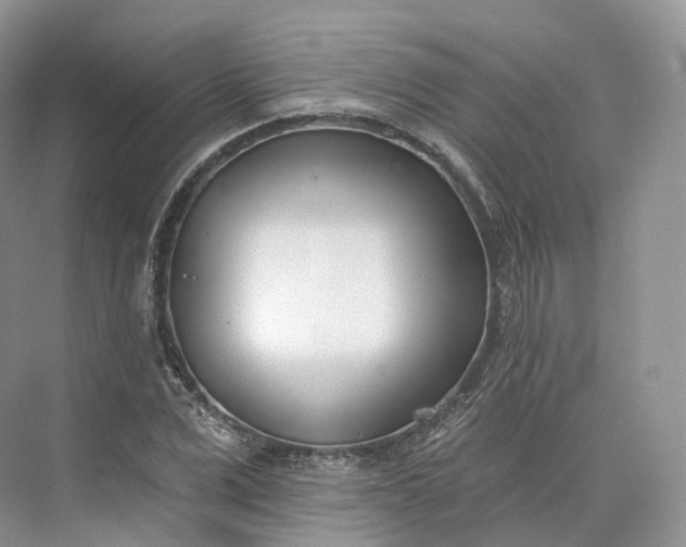 X0000073480975200608140812