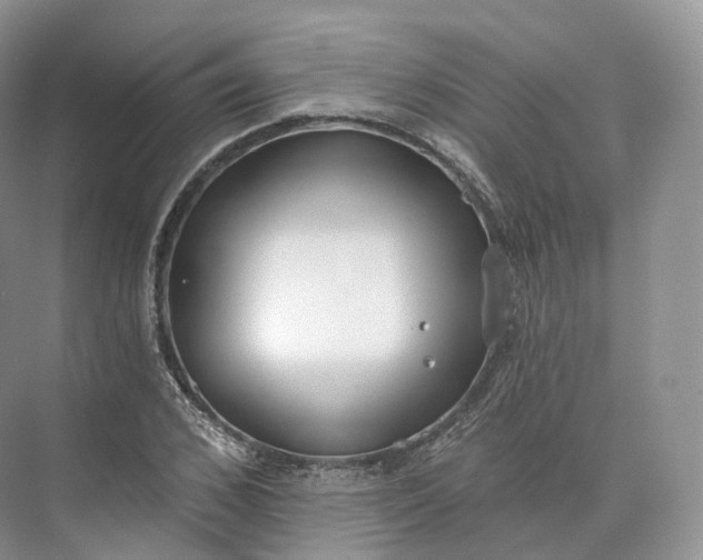 X0000073480976200608140812