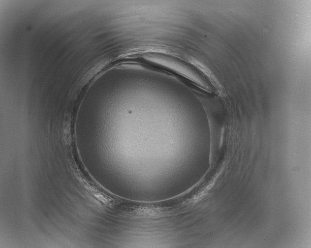 X0000073480977200608140812