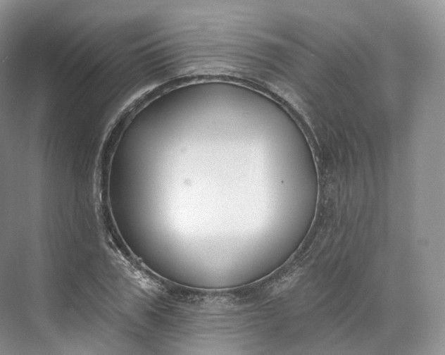 X0000073480979200608140812