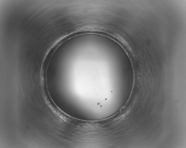 X0000073480981200608140812