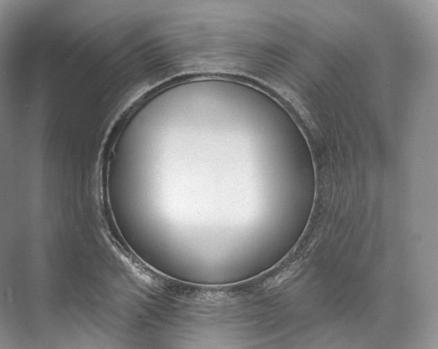 X0000073480982200608140812