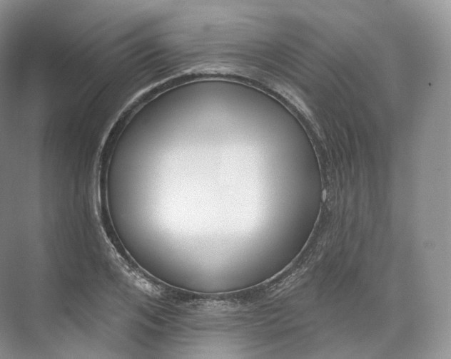 X0000073480984200608140812