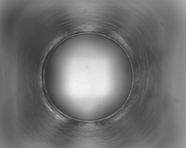 X0000073480986200608140812