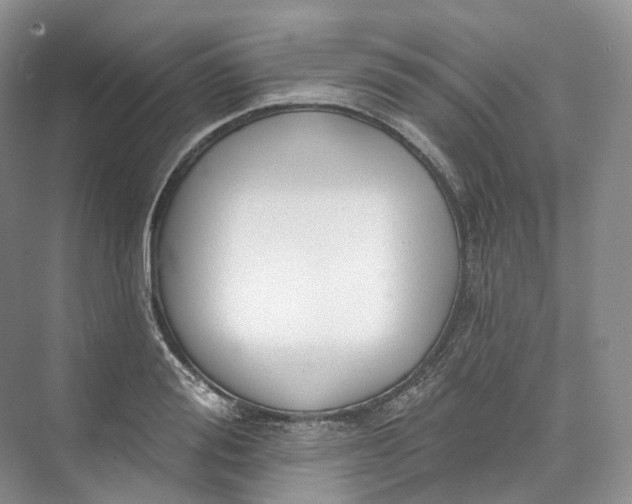 X0000073480988200608140811