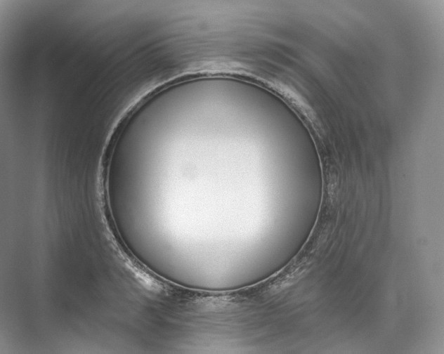 X0000073480990200608140811