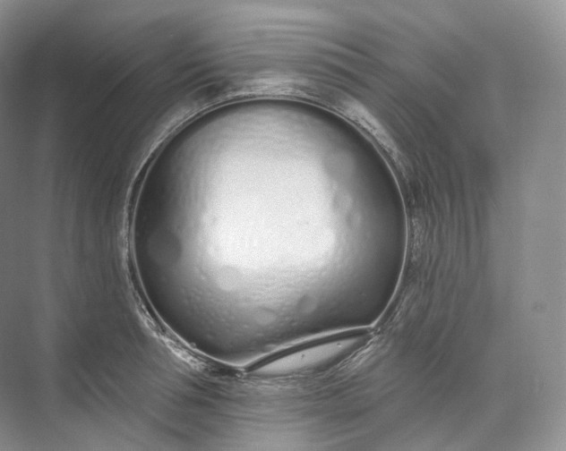 X0000073480994200608140811