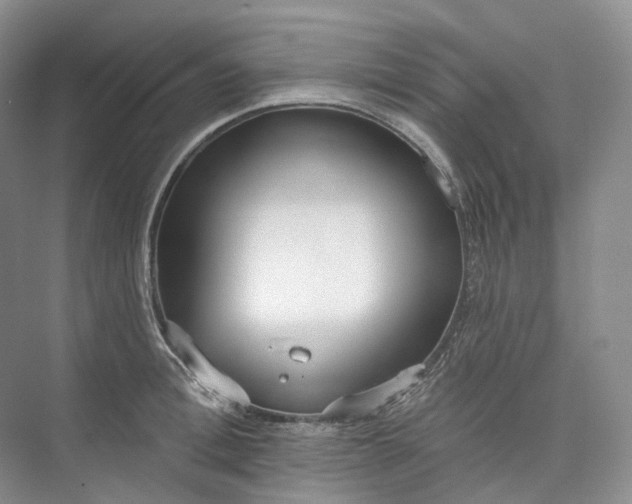 X0000073480996200608140811