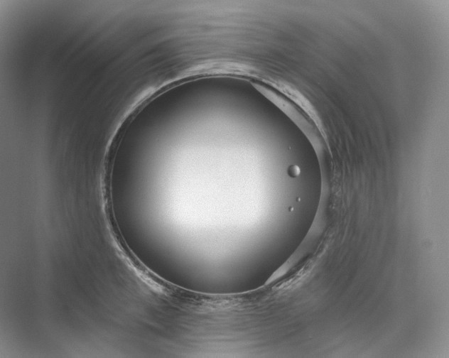 X0000073480997200608140811