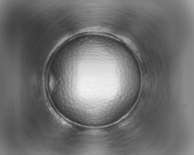 X0000073480998200608140811