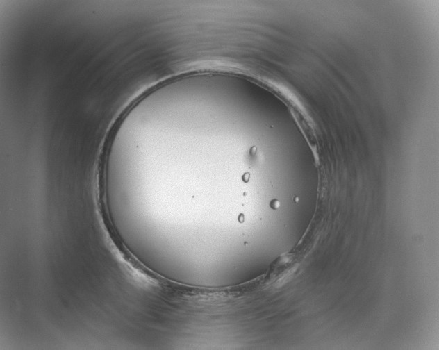 X0000073480999200608140811