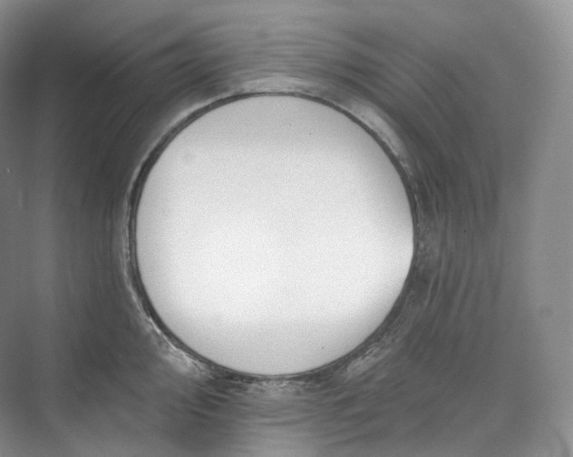 X0000073481000200608140811