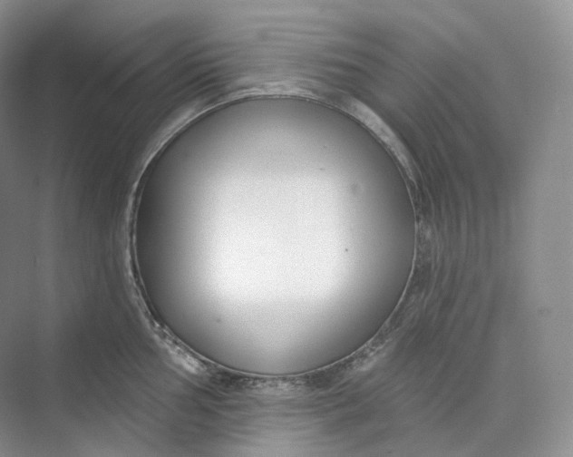 X0000073481002200608140811