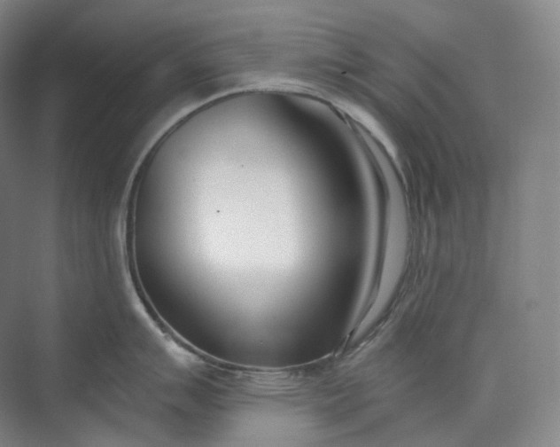 X0000073481007200608140811