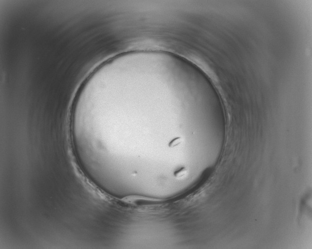 X0000073481008200608140811