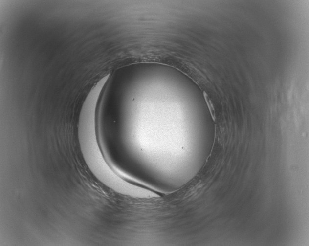 X0000073481010200608140810