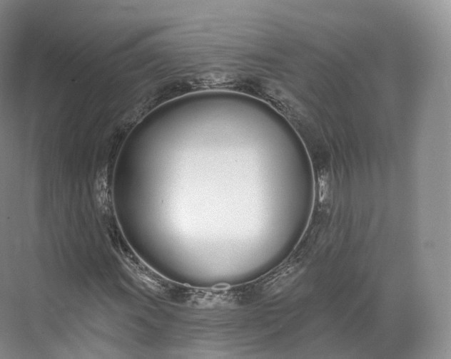 X0000073481011200608140810