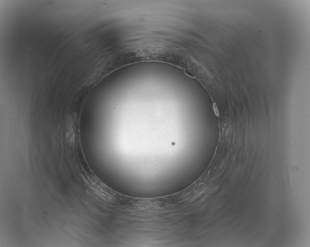 X0000073481012200608140810