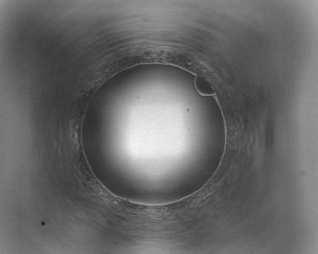 X0000073481013200608140810