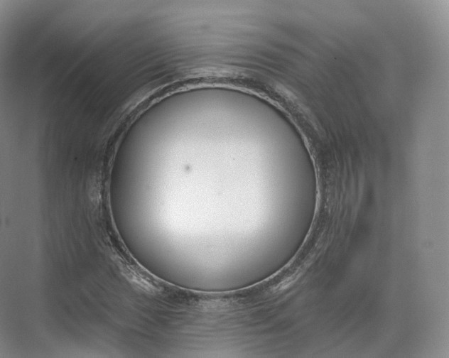 X0000073481017200608140810