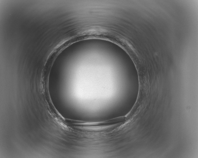 X0000073481018200608140810