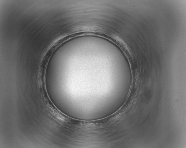 X0000073481019200608140811