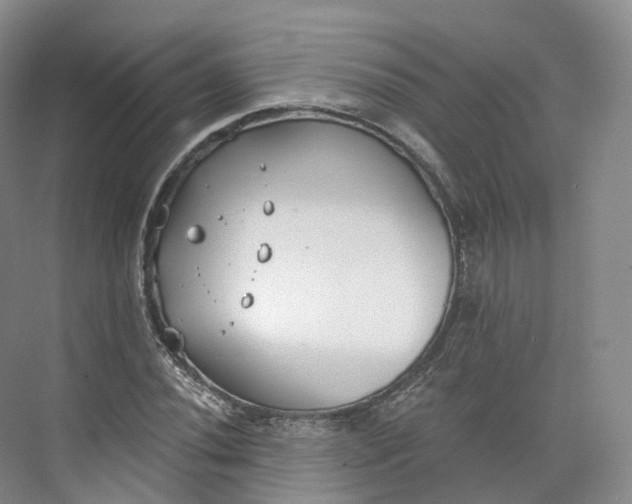 X0000073481020200608140811