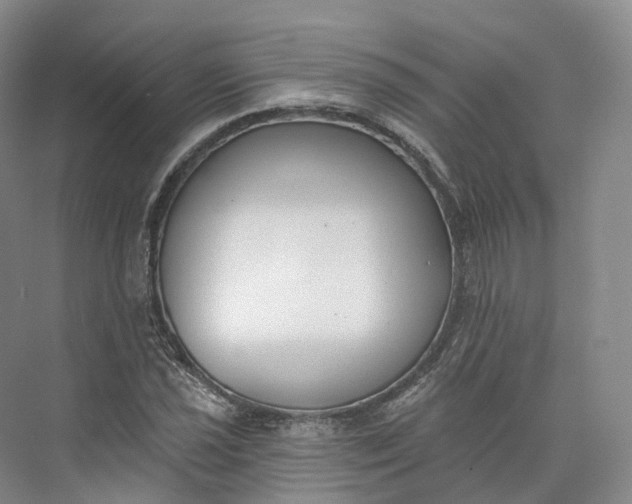 X0000073481021200608140811