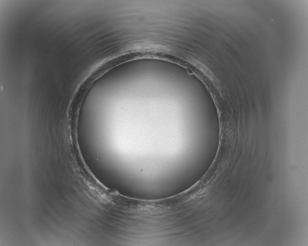 X0000073481022200608140811