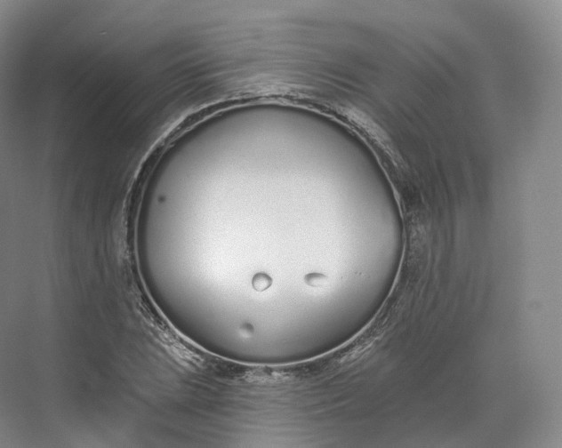 X0000073481023200608140811