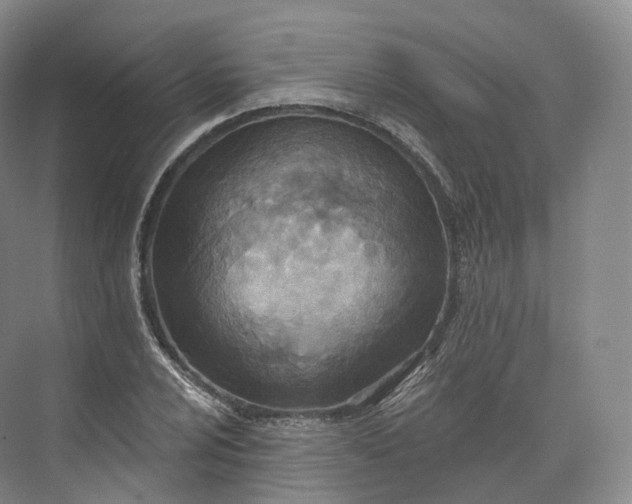 X0000073481024200608140811