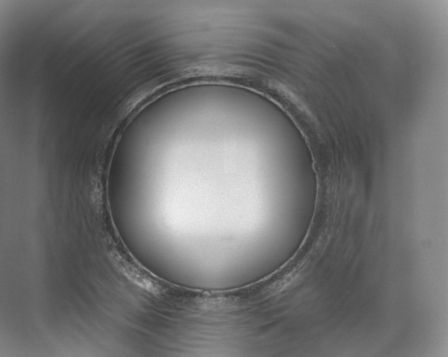 X0000073481025200608140811