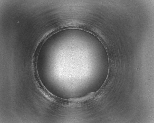 X0000073481026200608140811