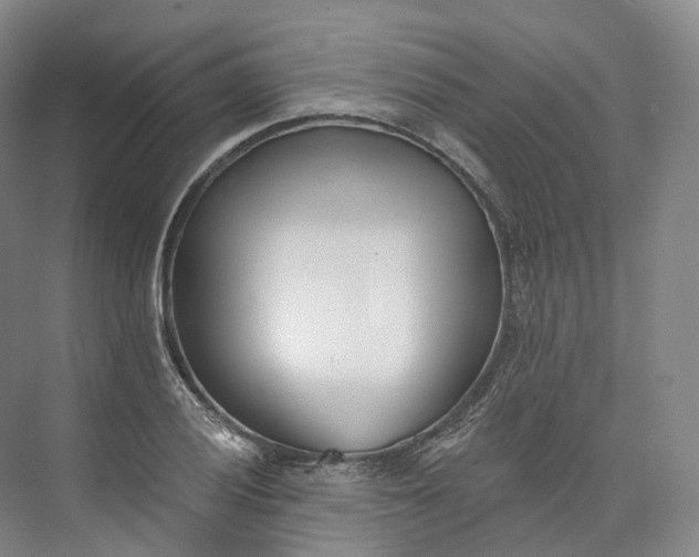 X0000073481028200608140811