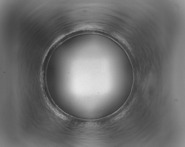 X0000073481029200608140811