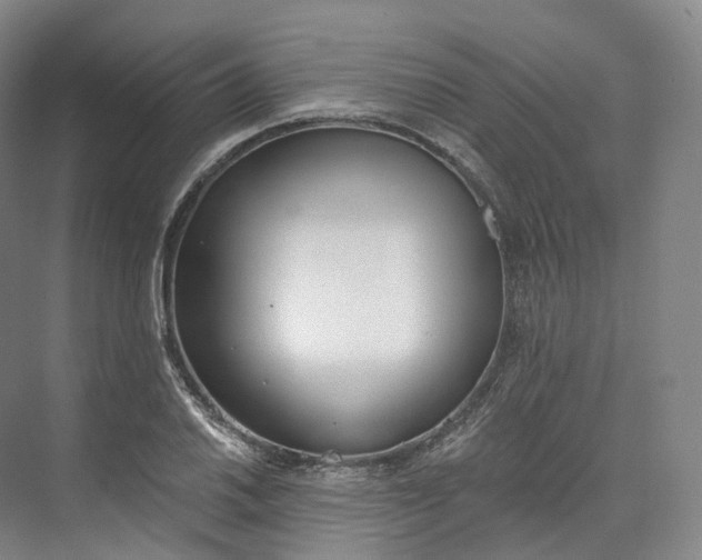 X0000073481030200608140811