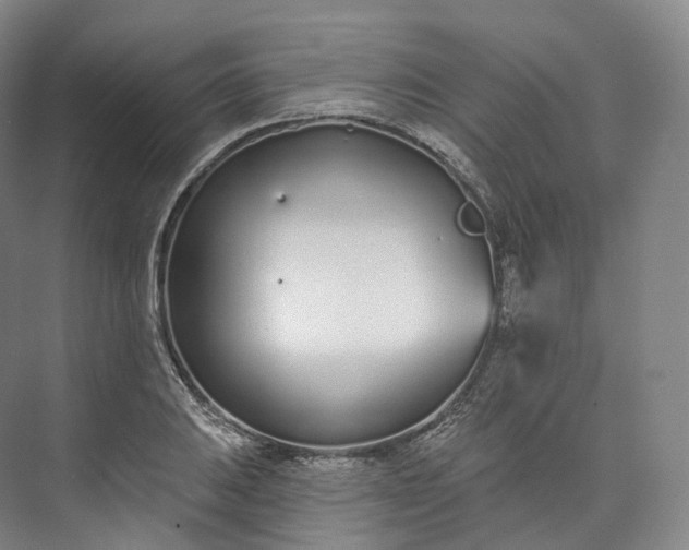 X0000073481031200608140811