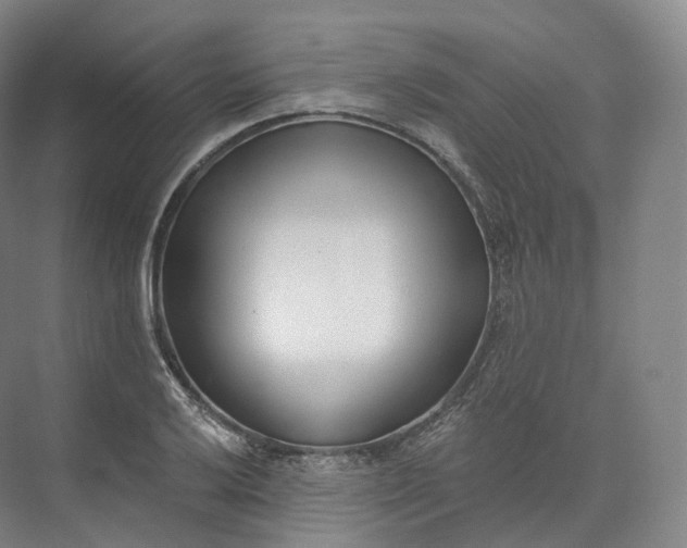 X0000073481032200608140811