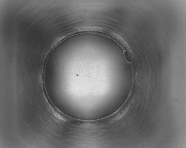 X0000073481033200608140811