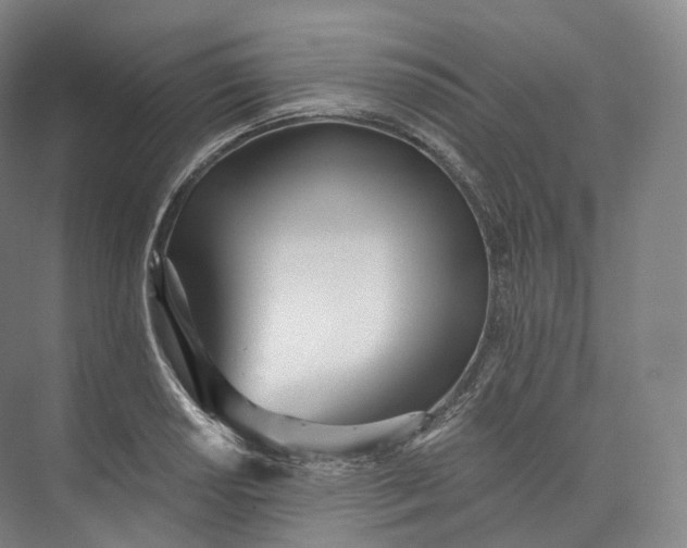 X0000073481034200608140811