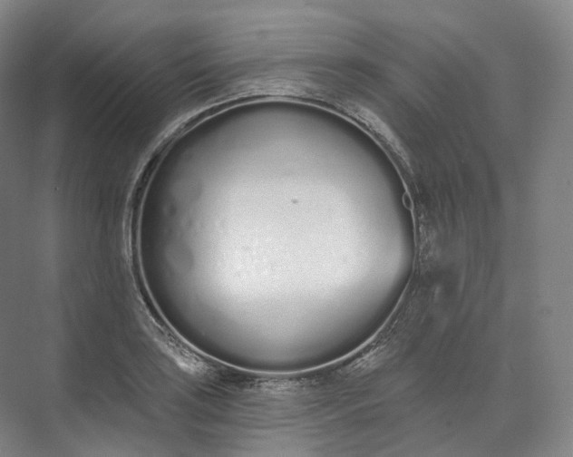 X0000073481035200608140811